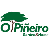 vivieiros o piñeiro